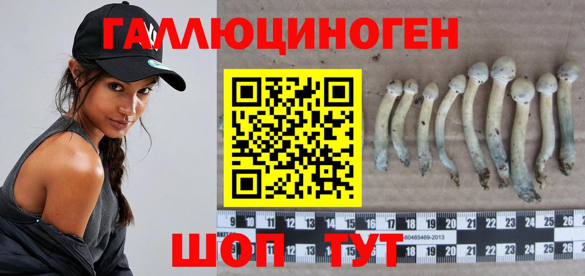 Новочеркасск  Псилоцибиновые грибы мицелий  купить наркотик  Галлюциногенные грибы MAGIC MUSHROOMS  Вход с VPN 